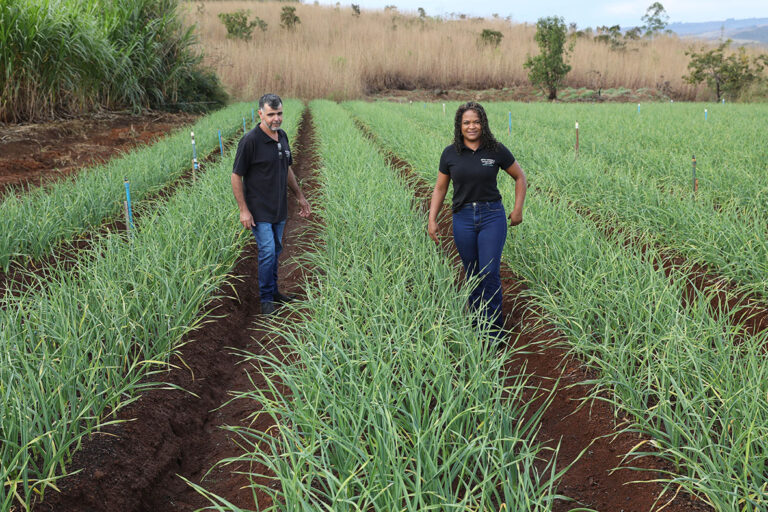 Luciano Custódio e Esther Macedo em plantação apoiada por crédito rural no DF. Foto: Paulo H. Carvalho/Agência Brasília