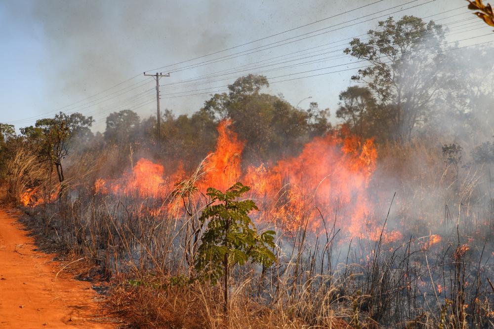 Incêndio florestal avança por área de vegetação seca no Distrito Federal